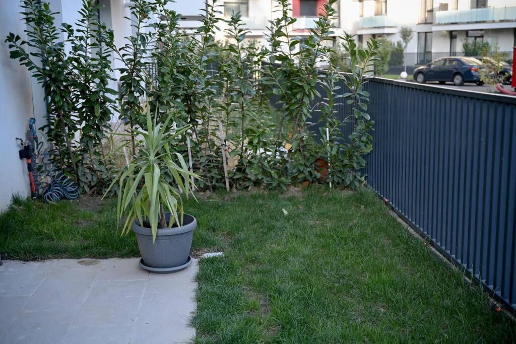 Appartamento #Minehouse Timisoara Esterno foto